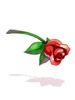 [Visual] Rosa da Sedução